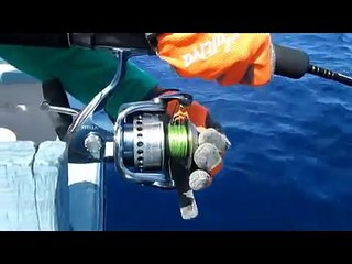 Mancing mania mantap!!! - reel stella menjerit histeris