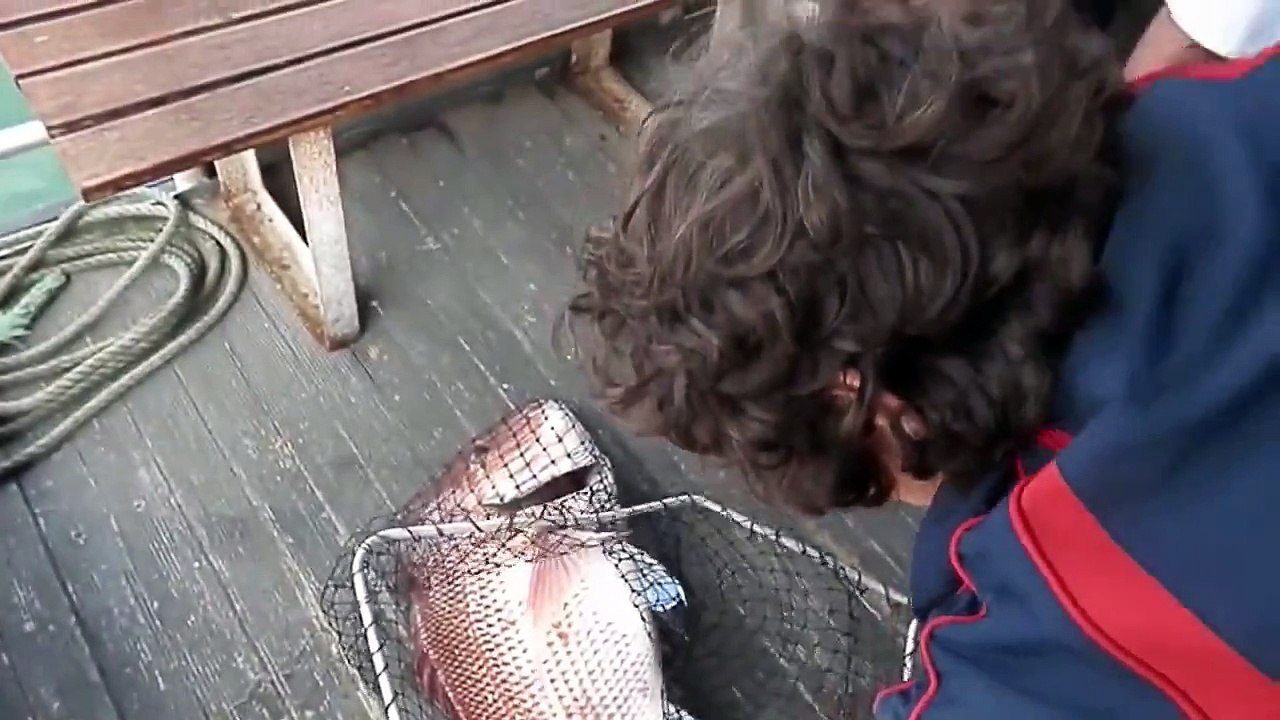 MANCING KAKAP MERAH BESAR - MANCING IKAN KAKAP MERAH GEDE CUY