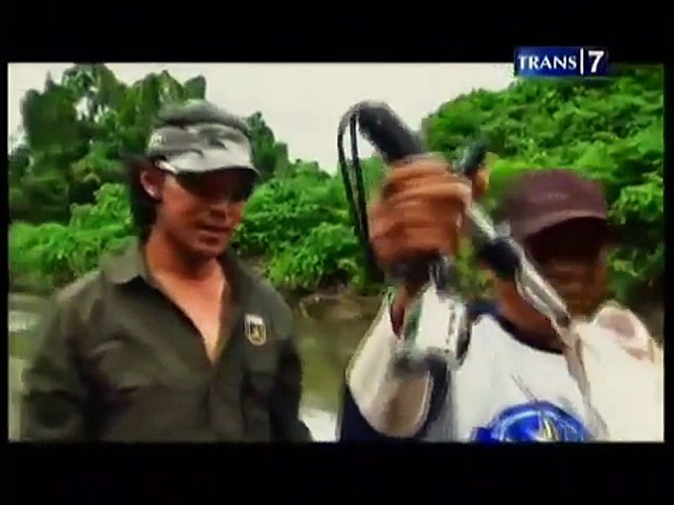 Mancing Mania (23 Nov 2013) - Predator Estuaria Pulau Seram