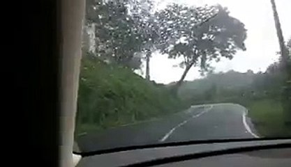 GHOST found hanging on a tree-REAL