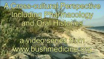 Bush Medicine of the Bahamas Oral Histories: Bertram Forbes (how to catch a wild cow)