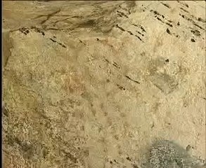 CARLÃO | ABRIGO RUPESTRE DA "PALA PINTA"