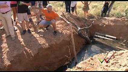 Consecuencias del Macro Vertedero