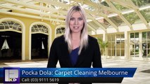Pocka Dola: Carpet Cleaning Melbourne Menzies Creek AmazingFive Star Review by Susan L.