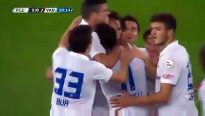 FC Zürich vs FC Vaduz 1-0 Alain Nef Goal Swiss Super League 7.11.2015