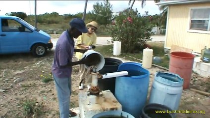 Bush Medicine of the Bahamas: Thomas Hanna (part 3 of 3)