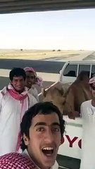 أسعد جمل في العالم