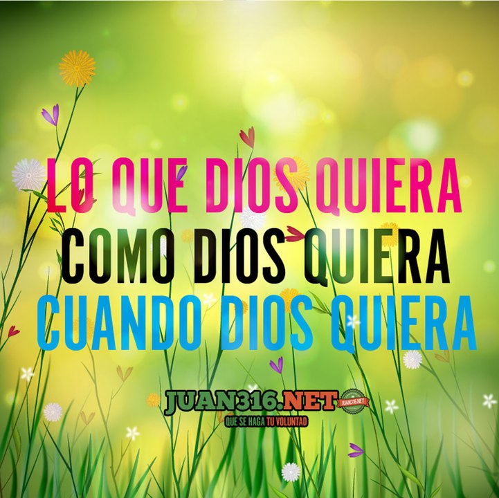 Que se haga su voluntad