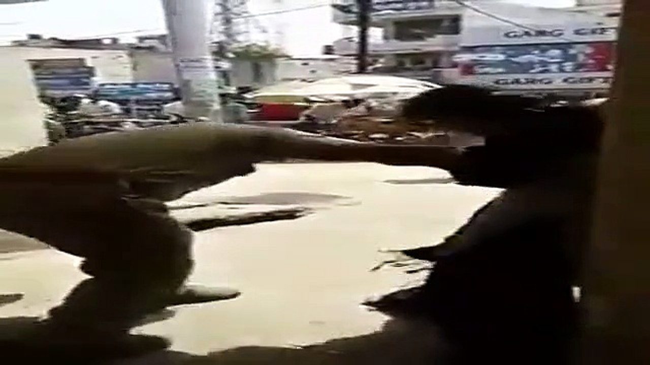 Girl fight with police man on road