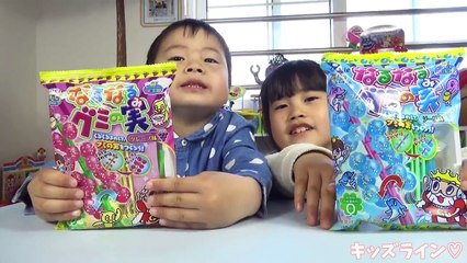 なるなるグミの実 グレープ味・ソーダ味 クラシエ 食玩 知育菓子