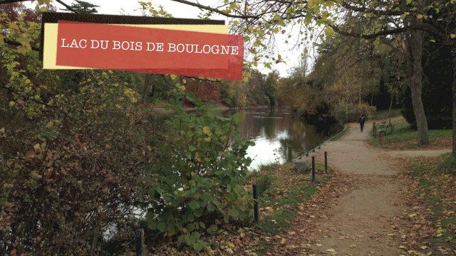 L'AUTOMNE 2015 autour du LAC DU BOIS BOULOGNE