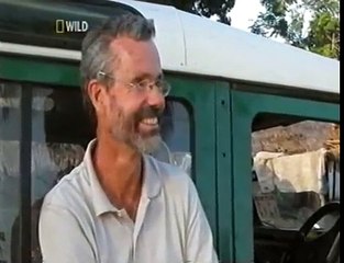 A Lioness Adopts a baby antelope. A short documentary that will open your eyes.