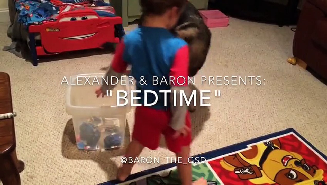 German Shepherd Dog puts little Boy to Bed... Adorable