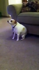 Нереальная ржака