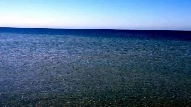 Странная рыба приплыла к берегу