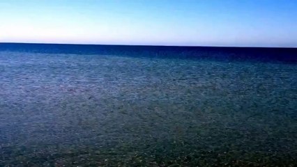 Странная рыба приплыла к берегу