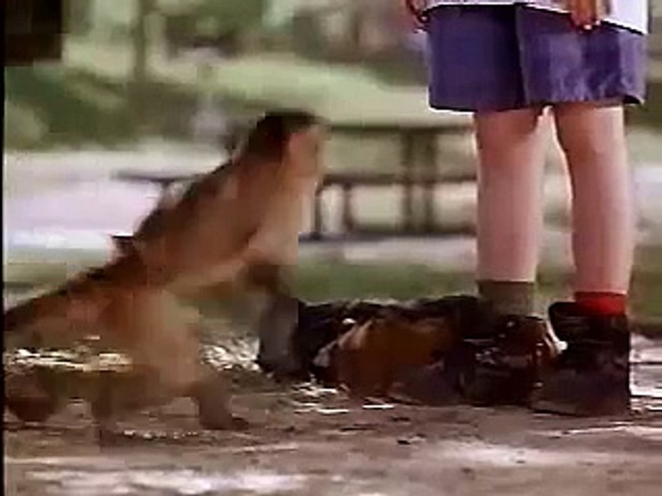 Monkey Trouble (1994) Trailer