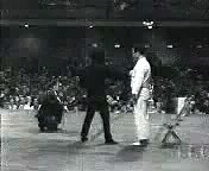Funny Video 2014 Very Strong Punch Bruce Lee Power