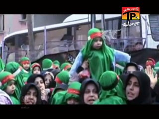 Ek Raat Ke Mehmaan Shahzadey - Syed Raza Abas Shah - Official Video - Nohay 2015-16-