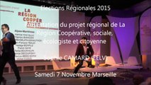 Sophie-CAMARD / Elections régionales  PACA/Meeting / 1er décembre 2015 / Marseille