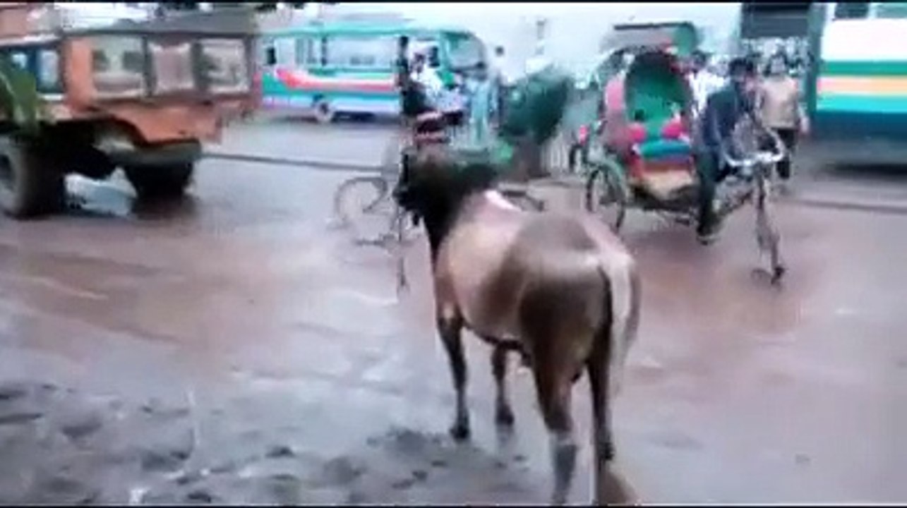 Bengali funny video (Lot of laugh)_Laughing _funny _video