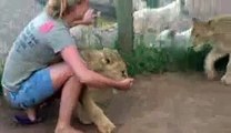Young Lady Is Getting Mauled By Two Young Lions