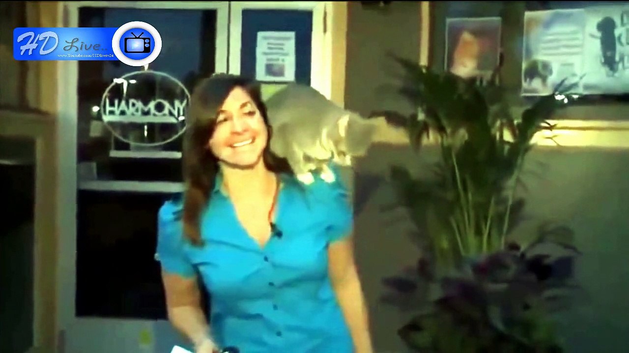 funy video | হাসতে হাসতে জীবন শেষ