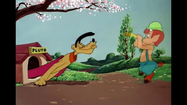 Mickey Mouse and Pluto Dog Cartoon - New Compilation Kids Cartoon Funny Dog - Cartoons For