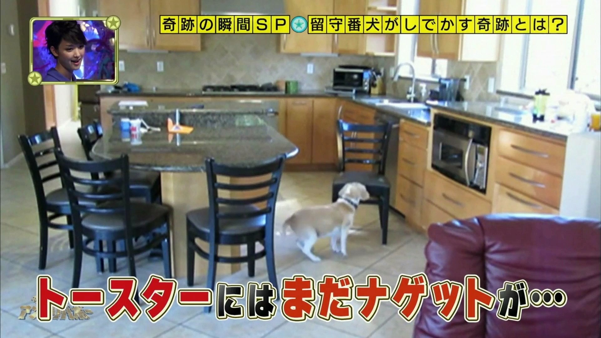 奇跡体験 アンビリバボー 見たことのない奇跡の瞬間ｓｐ 3 4 動画 Dailymotion