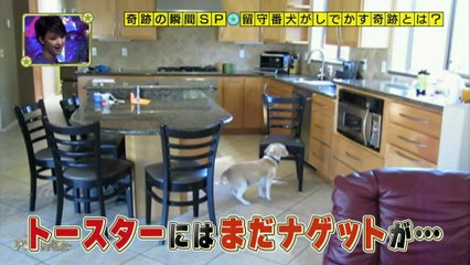 奇跡体験!アンビリバボー　見たことのない奇跡の瞬間ＳＰ 3/4