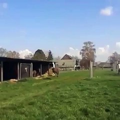 This Will Make You Happy!