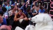 Frostpaw, the anti-keystone polar bear, react...