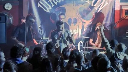 WASHINGTON DEAD CATS