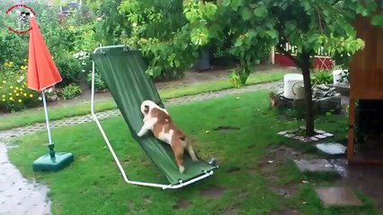 Сборник приколов