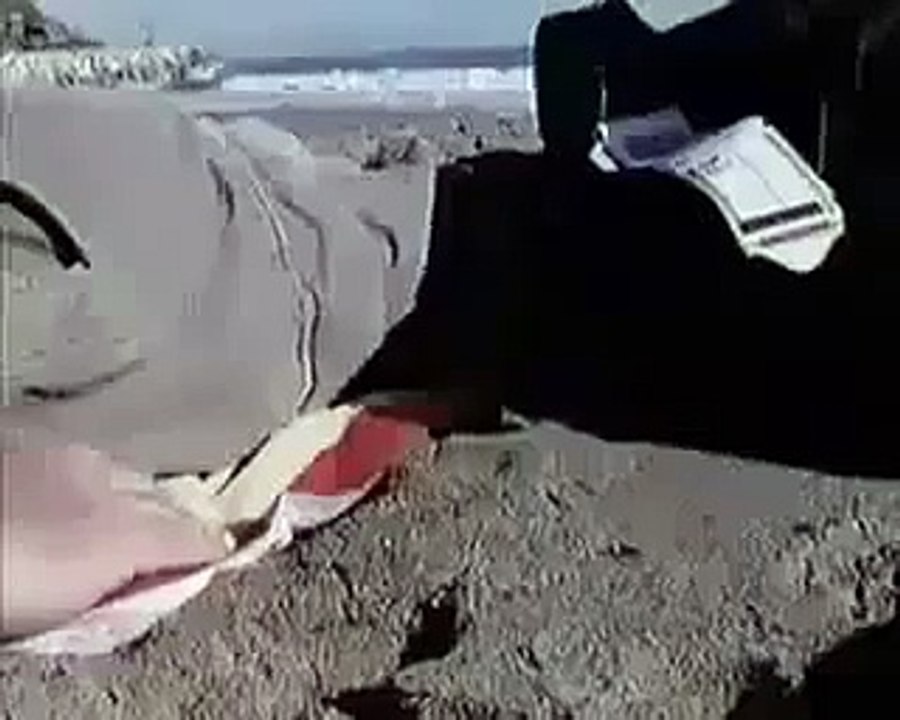 funny video 31