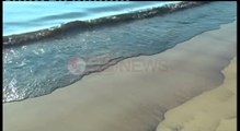 Nis pastrimi i bregdetit, prokuroria dhe policia në kërkim të përgjegjësve - Ora News-