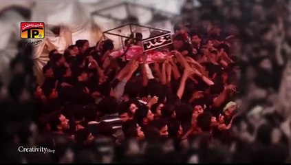 Syed Raza Abbas Zaidi -Noha 2016- HAAN YAY MYRY BYTY HAIN''