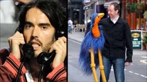 Toby Hull Emu Interview The Russell Brand Show