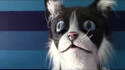 Chats vs Masque de Chat