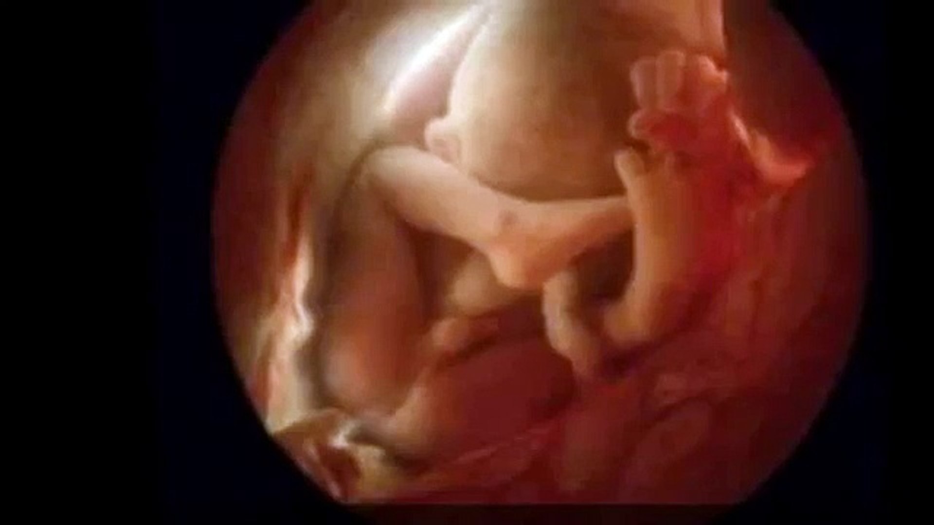 hafta hafta gebelik bebek ultrason goruntuleri by gebelik ve annelik dailymotion