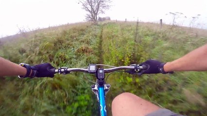 Bee Hive Single Track Down Hill