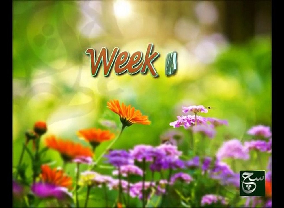 Weekend Such Savera 08-11-2015