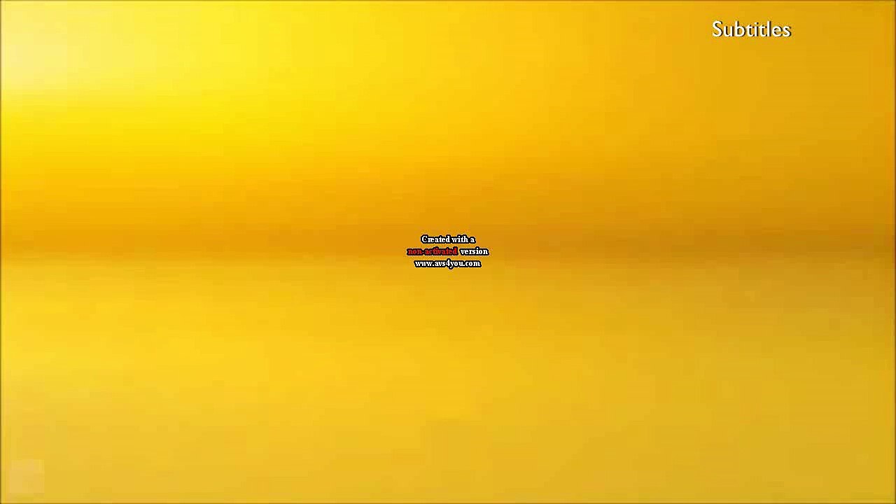 R4 Two ident 2015 - Car