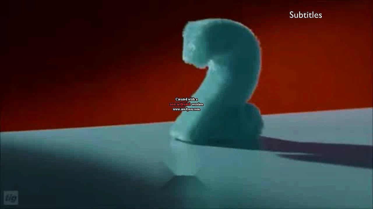 R4 Two ident 2015 - Dog