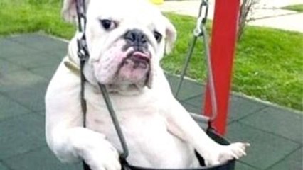 Komik iş makinası kazaları ,funny construction equipment accidents, 有趣的建筑设备事故 lustig 面白い建設