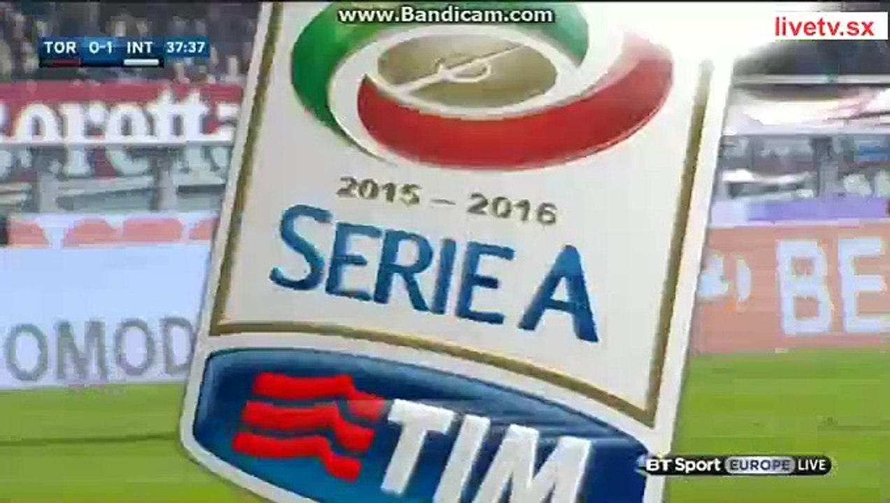 Rodrigo Palacio Gets Injured Torino 0-1 Inter Serie A 8.11.2015 HD