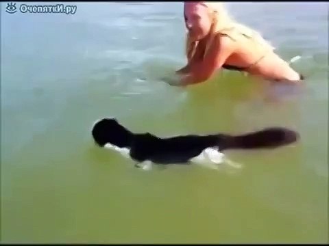 ПЕРВЫЙ РАЗ ТАКОЕ ВИЖУ.ПРОСТО ОБАЛДЕТЬ