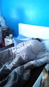 Как надо будить