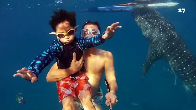 Посмотри и подними себе настроение