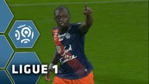But Jérôme ROUSSILLON (24ème) / Montpellier Hérault SC - FC Nantes (2-1) -  (MHSC - FCN) / 2015-16